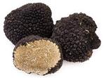 TARTUFI