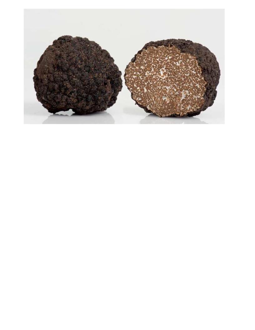 TARTUFI